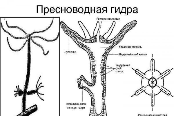 Кракен 2024 сайт