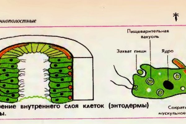 Кракен даркнет официальный сайт