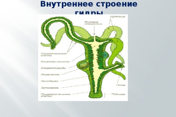 Kraken наркотики сайт