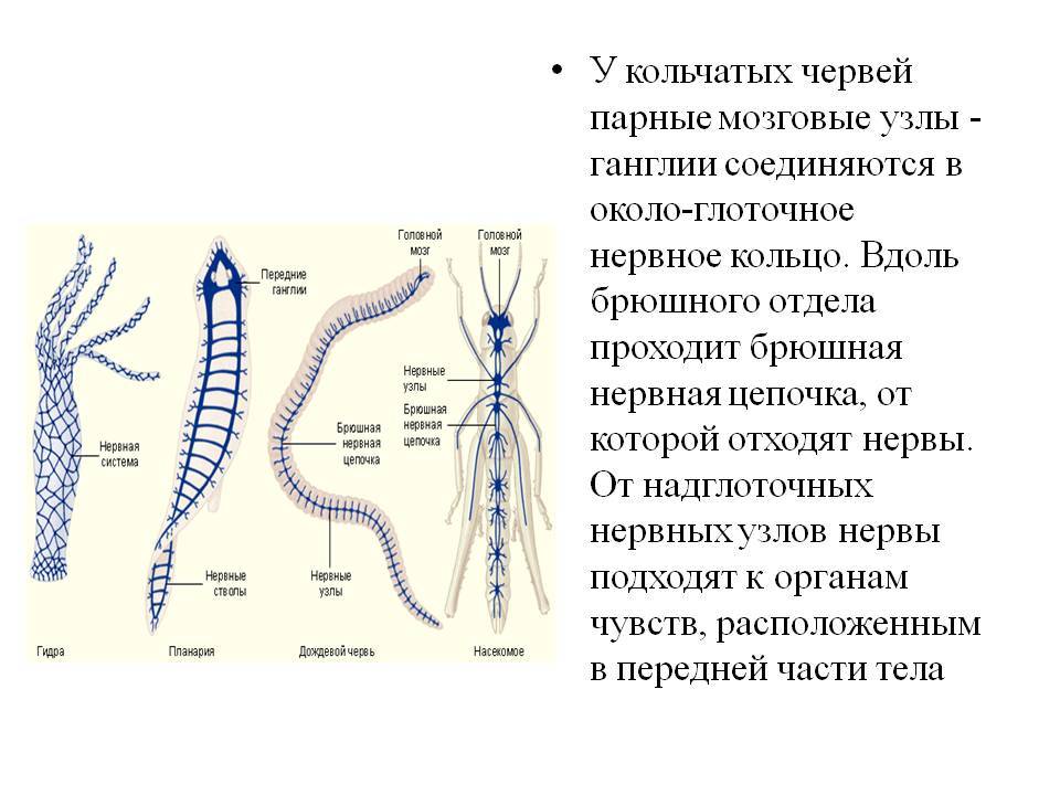 Кракен вывод средств